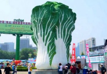 仿真大白菜-玻璃鋼蔬菜水果雕塑商場(chǎng)農(nóng)業(yè)生態(tài)園采摘園戶外廣場(chǎng)擺件