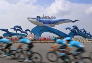 廣場擺放大型玻璃鋼海豚拱門雕塑