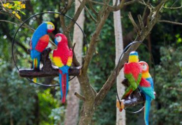 玻璃鋼仿真動物景觀園林公園彩繪鸚鵡雕塑