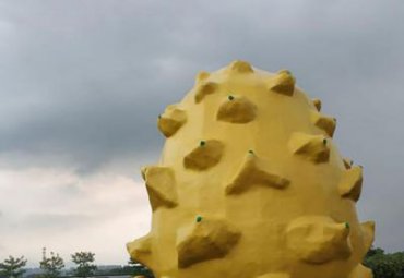 景區(qū)園林擺放大型玻璃鋼仿真榴蓮水果雕塑