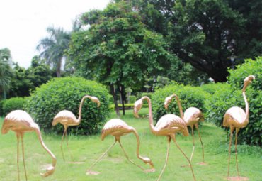 園林 戶外景觀不銹鋼抽象動物火烈鳥